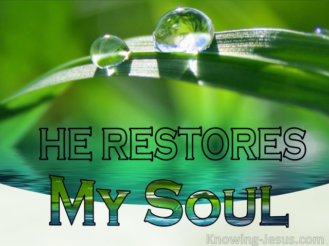 Psalm 23:3 He Restores My Soul (green)